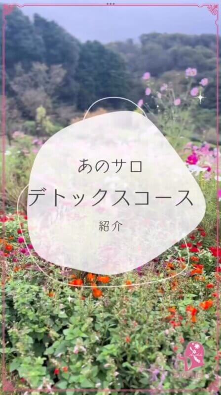 デトックスコース