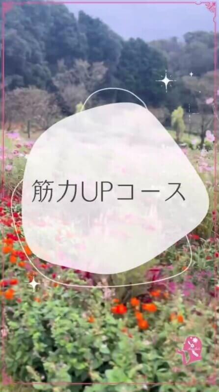 筋力アップ！